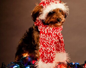 Dog Hat and Dog Scarf for Dog - Red and White - Peppermint