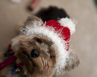 Santa Red Knit Hat for Dogs-Small or Medium