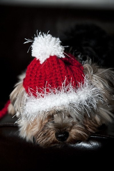 Santa Red Knit Hat for Dogs-small or Medium - Etsy