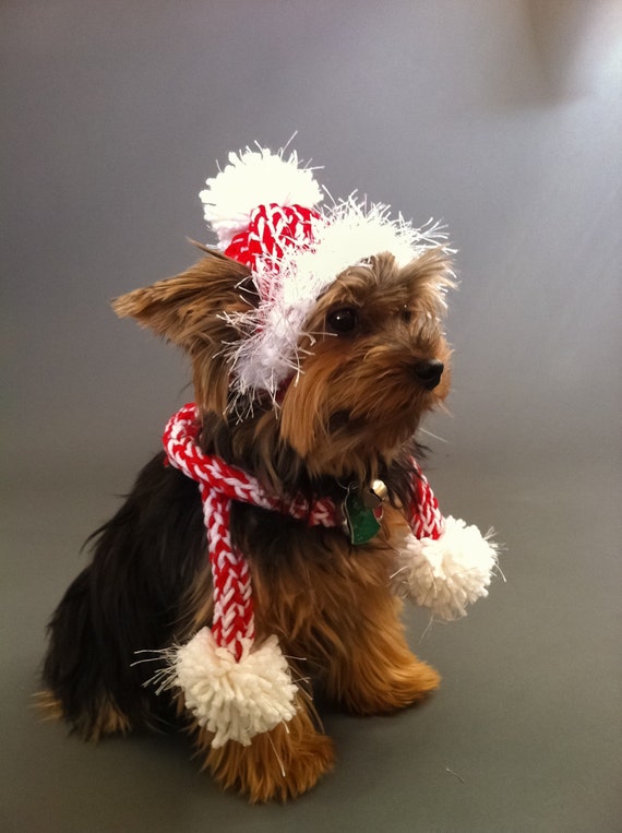 Red And White Dog Hat And Tube Scarf With Pom Pom Small Etsy