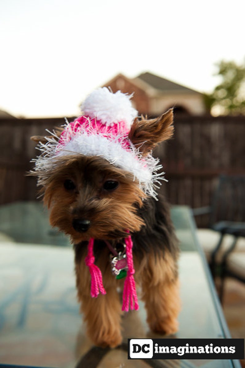 Dog Hat for the winter Hot Pink image 2