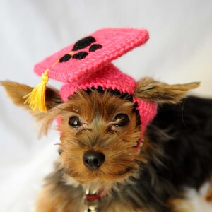 Hot Pink Dog Graduation Hat 2022 image 3