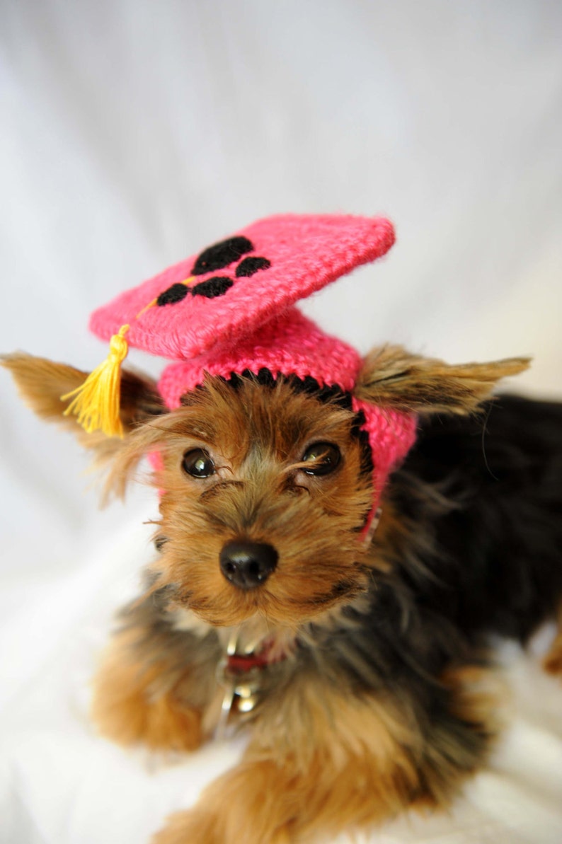 Hot Pink Dog Graduation Hat 2022 image 3