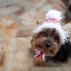 Candy Cane Red and White Knit Dog Hat Small or Medium image 2