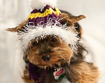 LSU or Vikings colored Hat for Dogs - Yellow and Purple