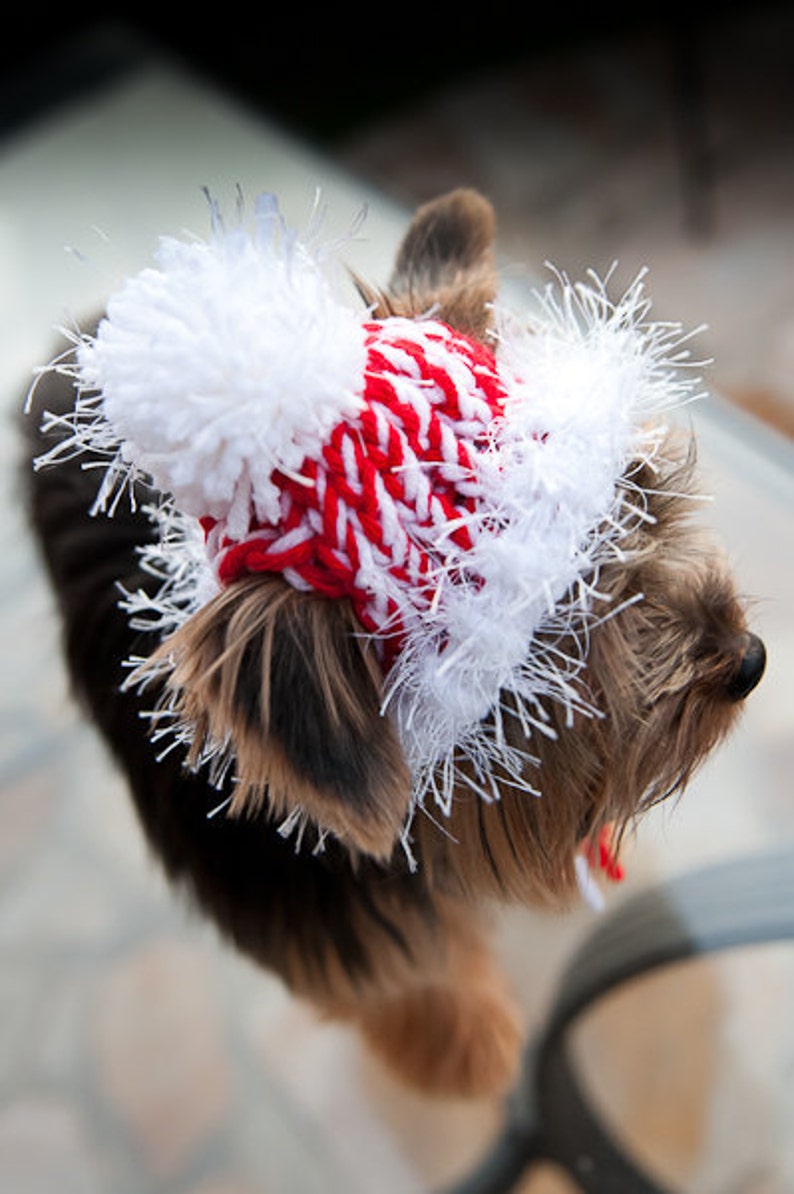 Candy Cane Red and White Knit Dog Hat Small or Medium image 1