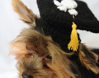 Black Graduation Cap for Dogs 2025-2026