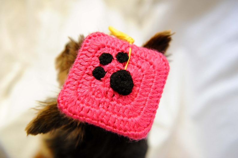 Hot Pink Dog Graduation Hat 2022 image 2