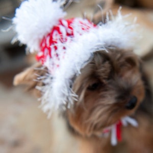 Candy Cane Red and White Knit Dog Hat Small or Medium image 3