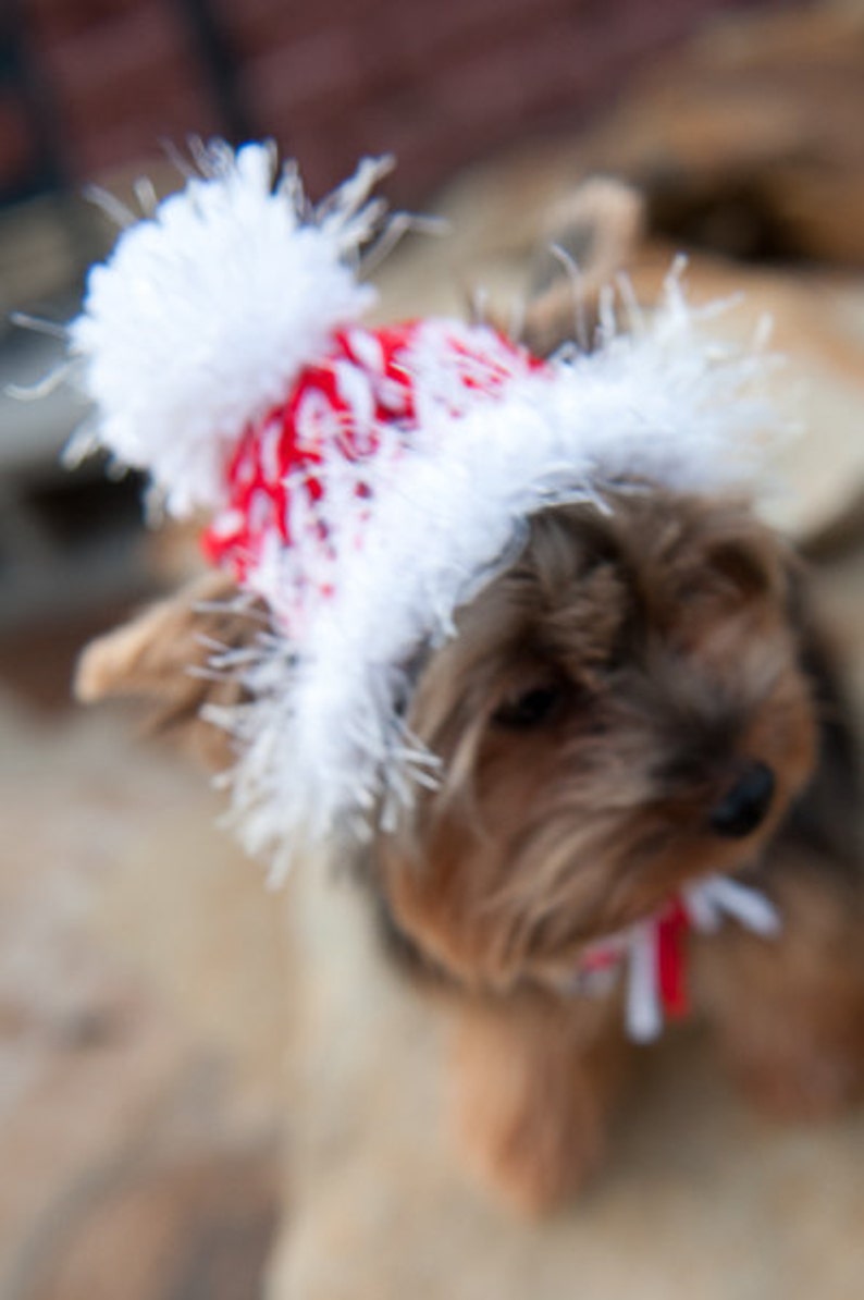 Candy Cane Red and White Knit Dog Hat Small or Medium image 3