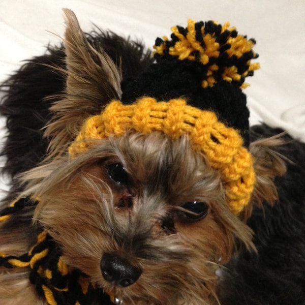 Black and Gold - Knit Dog Hat - Small or Medium