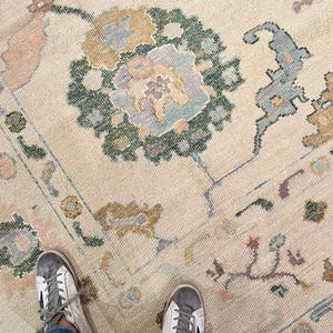Hand-Knotted Wool Area Rug: Beige Floral Bird Motif