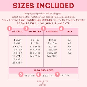 The image is a list of sizes that include different frame sizes and ratios, along with their corresponding resolution jps. The list does not contain any physical product being shipped, and it provides a visual guide for selecting the appropriate frame size and ratio based on the desired resolution.