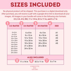 May include: A pink chart titled "SIZES INCLUDED" lists digital image sizes. Formats include 2:3, 3:4, 4:5 ratios, ISO, and standard sizes like 11 x 14 inches. The chart details various inch dimensions for printing.