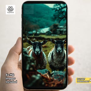 Spring In Ireland Phone Wallpaper Set | Nature Lockscreen Cute Animals Background | Irish Countryside (Digital Download - iPhone & Android)