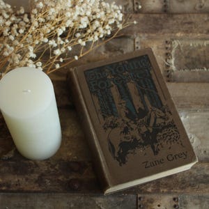 Vintage 1910s Book, &quot;The Young Forester&quot; by Zane Grey, Grosset and Dunlap Edition