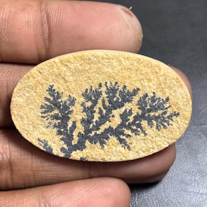 Psilomelane Dendrite Cabochon: Natural Gemstone for Jewelry Making (53 cts, 45x28) #134