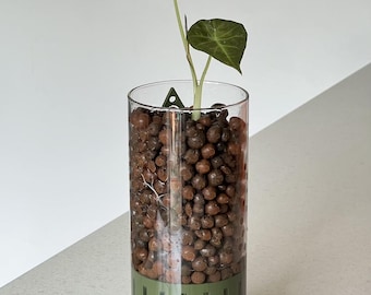Visible Root Planter: 'Simpla' Semi-Hydroponic Growing Vase 10 Colours