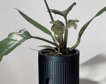 Modern Self-Watering Plant Pot: Large Edené Semi-Hydroponic Planter for LECA or PON 14 Colours