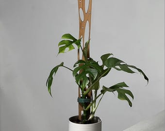 Red Cedar Slim Plant Trellis: 'Flux' Wavy Design