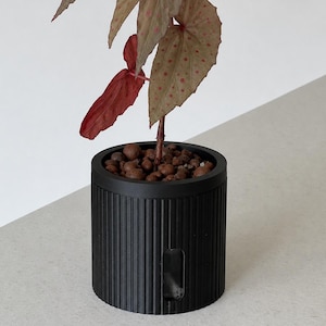 May include: A potted begonia plant with pointed, brownish-green leaves featuring small pink spots. The plant is housed in a cylindrical, black, vertically ribbed planter filled with brown clay pebbles, featuring a small rectangular window.