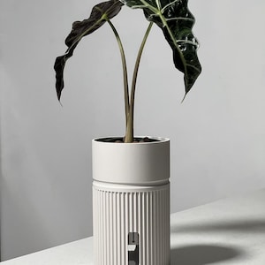 Unique Self-Watering Plant Pot: 'Maxia' Semi-Hydroponic Planter for LECA or PON 10 Colours