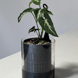Modern Self-Watering open Plant Pot: ‘Aeris’ Semi-Hydroponic Planter for LECA or PON 18 Colours