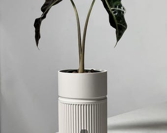 Unique Self-Watering Plant Pot: 'Maxia' Semi-Hydroponic Planter for LECA or PON 14 Colours