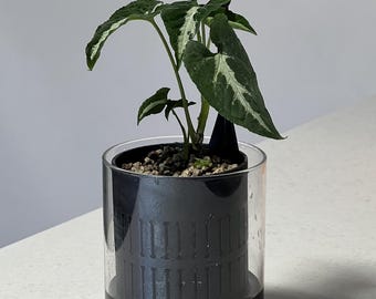 Modern Self-Watering open Plant Pot: ‘Aeris’ Semi-Hydroponic Planter for LECA or PON 14 Colours