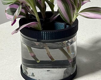 Simple Glass Propagation Vase: 'Pod' Planter for House Plant Cuttings 14 Colours