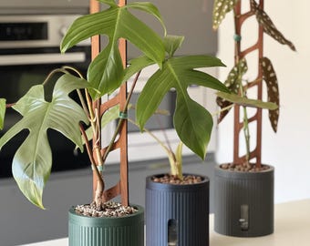 Modern Self-Watering Plant Pot: Large Edené Semi-Hydroponic Planter for LECA or PON 14 Colours
