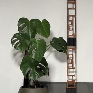 Red Cedar Double Plant Trellis: 'Quadra' Geometric Design