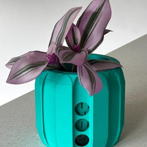 May include: A teal-coloured, cylindrical planter with three circular openings on the side. The planter holds a plant with pink and green striped leaves. The planter has a ribbed design and sits on a light grey surface.