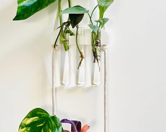 Stylish Glass Test Tube Wall Hanging Propagation Station: 'Via' Planter for Cuttings 14 Colours
