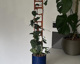 Red Cedar Single Plant Trellis: 'Quadra' Geometric Design