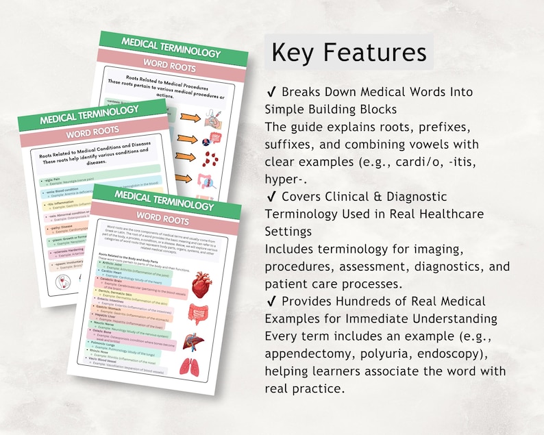 Medical Terminology Study Guide, Prefixes, Suffixes, Abbreviations (PDF ...