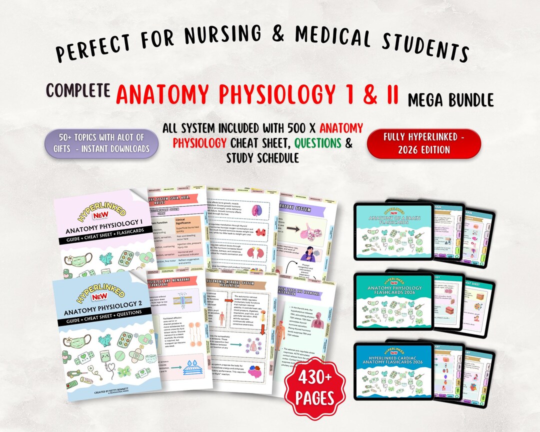 Anatomy Physiology Bundle, Flashcards, Cheat Sheets (digital Download ...