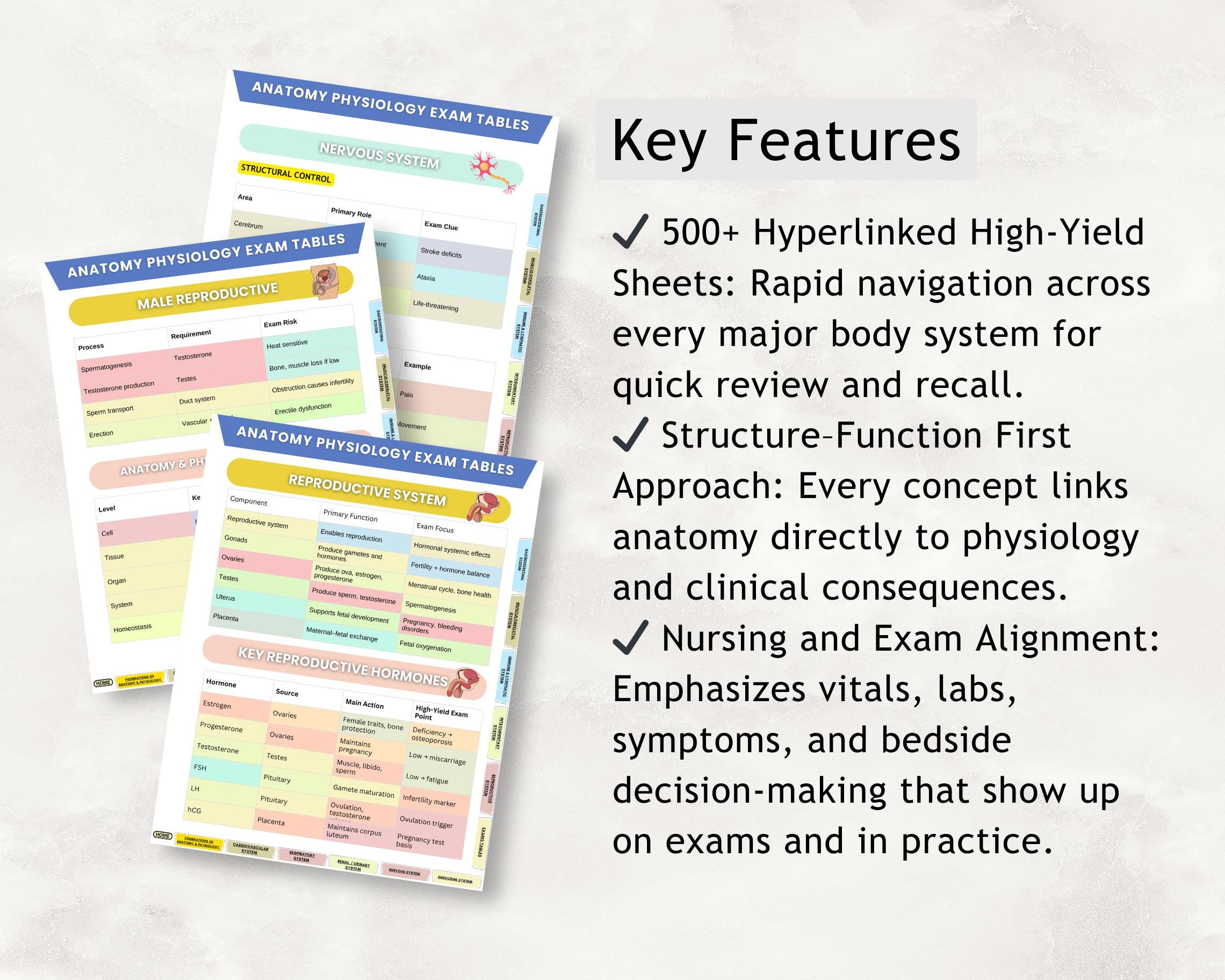 500 X Anatomy Physiology Cheat Sheet 2026, 10+ Topics, Exams Charts, Hyperlinked 2026 (digital ...