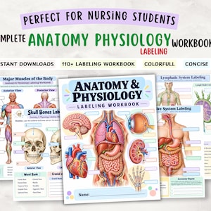 Peut inclure: Un cahier d'exercices d'anatomie et de physiologie avec des illustrations colorées des systèmes du corps humain, incluant le cerveau, le cœur, les organes digestifs et le squelette. Les pages comportent des cases à remplir, des lexiques et des schémas.