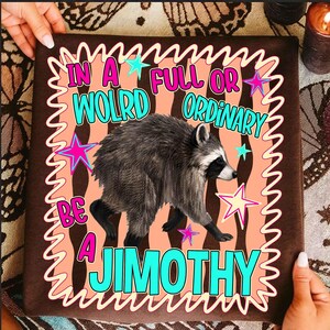 May include: A brown square pillow featuring a central graphic of a raccoon. The text reads IN A WOLRD FULL OR ORDINARY BE A JIMOTHY. The design includes a wavy border, pink and turquoise lettering, and colorful stars against a peach wavy background.