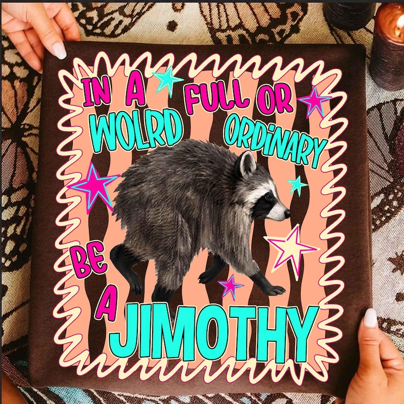 May include: A brown square pillow featuring a central graphic of a raccoon. The text reads IN A WOLRD FULL OR ORDINARY BE A JIMOTHY. The design includes a wavy border, pink and turquoise lettering, and colorful stars against a peach wavy background.