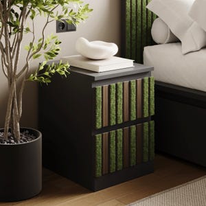 May include: A modern black nightstand with two drawers, accented with vertical panels of green moss and brown wood. A white ceramic decorative bowl sits atop a stack of books. A potted plant with green leaves is in the foreground.