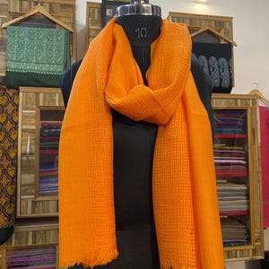 super soft light weight pure net pashmina stole for unisex. divine softness for my little angle. soft pashmina stole for Cozy season