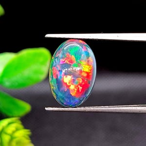 Könnte beinhalten: Ein ovaler, schillernder schwarzer Opal-Edelstein. Der Opal zeigt ein lebendiges Farbspiel mit roten, orangen, gelben, grünen und blauen Blitzen. Der Edelstein wird von einer silbernen Pinzette vor dunklem Hintergrund gehalten.