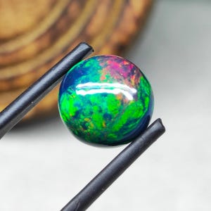 Könnte beinhalten: Ein lebendiger, runder Opal-Edelstein mit einem faszinierenden Farbspiel. Der Opal zeigt eine Mischung aus grünen, blauen und roten Farbtönen, gehalten von schwarzen Pinzetten. Die Oberfläche des Edelsteins reflektiert das Licht und erzeugt eine fesselnde Farbdarstellung.