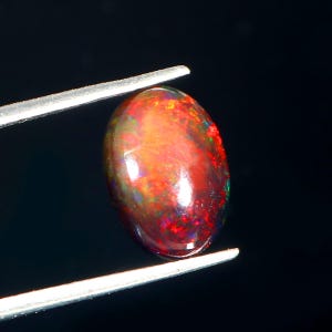 14x10mm Oval Black Opal Cabochon: Multi-Fire Gemstone