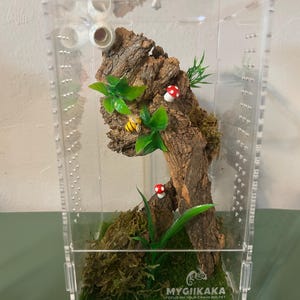 Custom Jumping Spider Enclosure