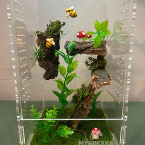 Custom Jumping Spider Enclosure