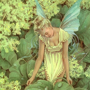 The Dew Faery Signed 8.5x11 Print