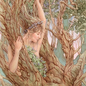 Woodland Nymph 8.5x11 Signed Print
